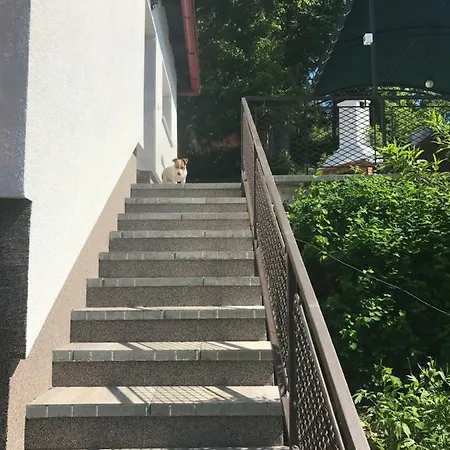 Holiday home Kuca Pink Mrzla Vodica