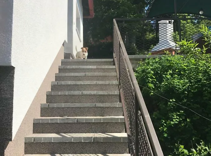 Feriehus Kuca Pink Mrzla Vodica