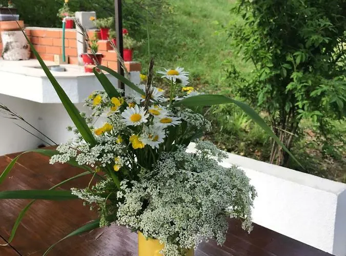 Kuca Pink Casa vacanze Mrzla Vodica