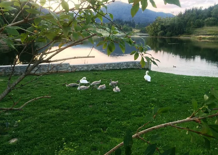 Kuca Pink Casa vacanze