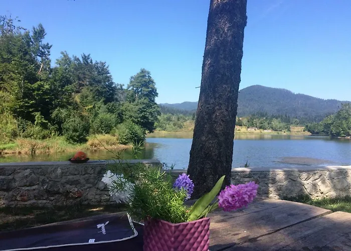 Kuca Pink Mrzla Vodica